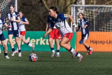 Bild 215 - wBJ Hamburger SV - Hertha BSC : Ergebnis: 2:1